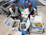 黒島の磯にてバリコが数釣れています
