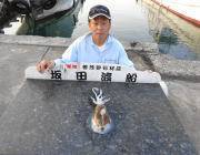 黒島の筏のエギングでアオリイカ☆2段シャクリが大事！！