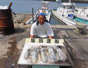 黒島の磯のアオリイカ釣果〜ヤエンとエギングでそれぞれ釣果あり