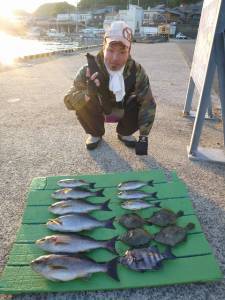 ヒラバエのカゴ釣り釣果〜大きなイサギが釣れてます！