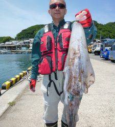 神谷の渡船　ヤエンでアオリイカの釣果出てます