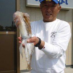 エギングでもキロアップ狙えます！！ in 湯浅の磯