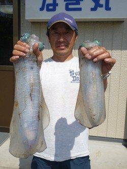 湯浅の磯良型アオリ、ウキ釣りで〜2.41kg6パイ・ヤエンで2.13kg2ハイ
