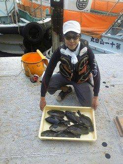 岸和田一文字　フカセ・紀州釣りでグレの釣果あり