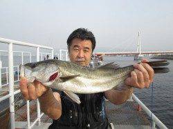 尼崎市立魚つり公園〜エビ撒きウキ釣りでハネ・落とし込みでチヌ