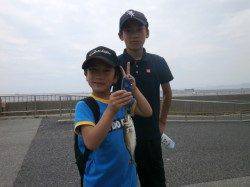 大阪南港魚つり園 イワシ良く釣れています、サッパ・アジも少々