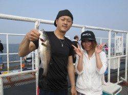 尼崎市立魚つり公園のサビキ〜酢締めが美味なサッパが釣れてます