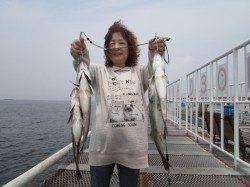 尼崎市立魚つり公園 ハネ・セイゴ朝の満潮潮どまりまでにアタリが集中