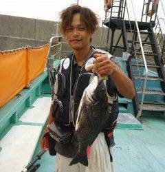 岸和田一文字　落とし込みで良型チヌが釣れています