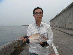 和歌山北港魚つり公園　ハマチとマダイの釣果もありました