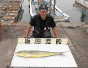 黒島の磯	ペンシルでシイラ85cmの釣果