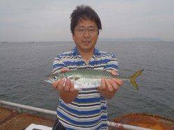 須磨海づり公園　良型のサバがウキサビキで釣れました
