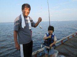 尼崎市立魚つり公園　サビキの釣果安定してきました