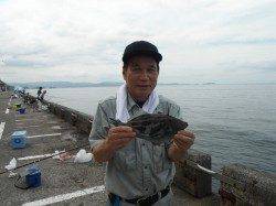和歌山北港魚つり公園でウマヅラハギ29cm