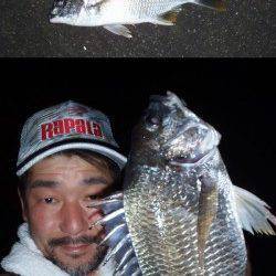 大阪南港　一週間ぶりのチニング釣行は二桁釣果