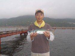 須磨海づり公園　ウキサビキ釣りでサバ41cm