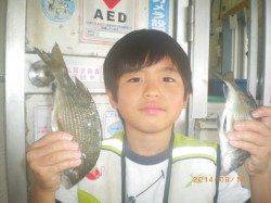 姫路市立遊漁センター　アジの他キスやガシラの釣果も