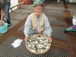 サビキでアジを200匹！　尼崎市立魚つり公園