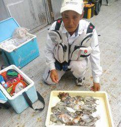 岸和田、旧の一文字でのタコ釣果