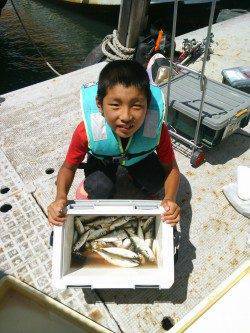 岸和田一文字　アジ・グレの釣果あり