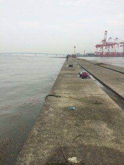 台風後の神戸沖堤にてツバス・サバ〜濁りと流木で厳しい状況でした