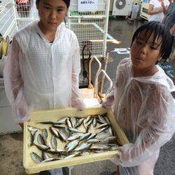 雨の和歌山マリーナシティ　アジにイサキ大漁！