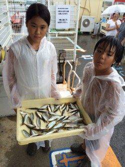 雨の和歌山マリーナシティ　アジにイサキ大漁！