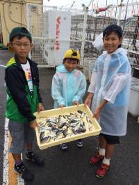 雨の釣り公園、サビキでアジにイサキ