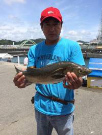 マリーナシティ海釣り公園　活きイワシのノマセでスズキ65cm