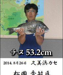 久美浜カセでチヌ53.2cmの釣果！ エサは丸貝でした