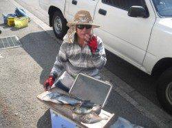 大磯でフカセ釣り　餌はボイルオキアミです