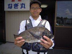 湯浅の磯にてフカセと紀州釣りでチヌの釣果