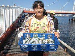 尼崎市魚つり公園　サビキでサッパ　他サヨリの釣果