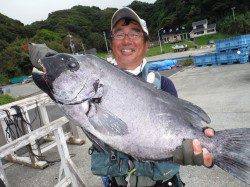 串本町須江　タライにてイシダイ70.3cm！