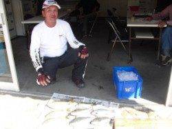 カマ磯でオキアミフカセ釣り　グレにアイゴ