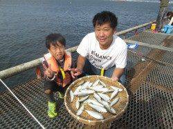 尼崎市魚つり公園　サビキはサッパ中心も色々な魚種狙える