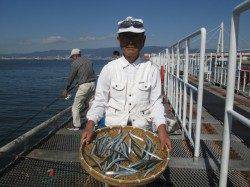 尼崎市立魚つり公園　ウキ釣りでサヨリ70匹！