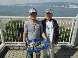 尼崎市立魚つり公園　フカセでグレ・チヌ・メッキ　イワシも回遊あります♪