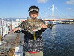 尼崎市立魚つり公園　ウキ釣りでチヌ45cm