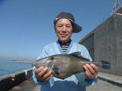 和歌山北港魚つり公園　紀州釣りでチヌ・グレ・カワハギ