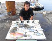 黒島の筏チヌ釣り　チヌの他カワハギなど多彩な魚種で楽しめます
