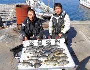 黒島の磯　フカセ釣りでアイゴ・グレ