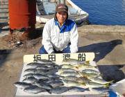 黒島の磯でグレ・アイゴ　鷹島のカンドリでグレの釣果