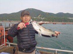 須磨海釣り公園　ウキ流し釣りでハネ60cm