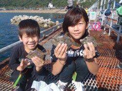須磨海釣り公園　胴突き仕掛けでカワハギの釣果