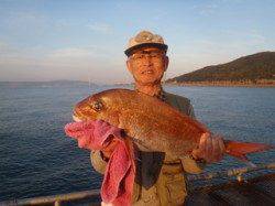 須磨海づり公園　ウキ流し釣りでマダイ59.8cm！