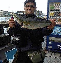岸和田一文字・沖の北　ルアーでスズキ82cm　他メジロも釣れています