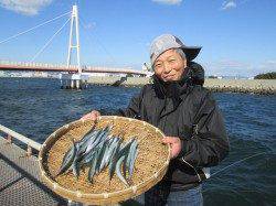 尼崎市立魚つり公園　強風の中でサヨリ４０匹