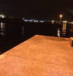 大阪南港アジング　常夜灯が点灯してからポツポツ表層でアタリました