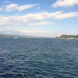 串本港ショアジギング　地磯は強風で釣りにならず湾内でモンゴイカ釣れました